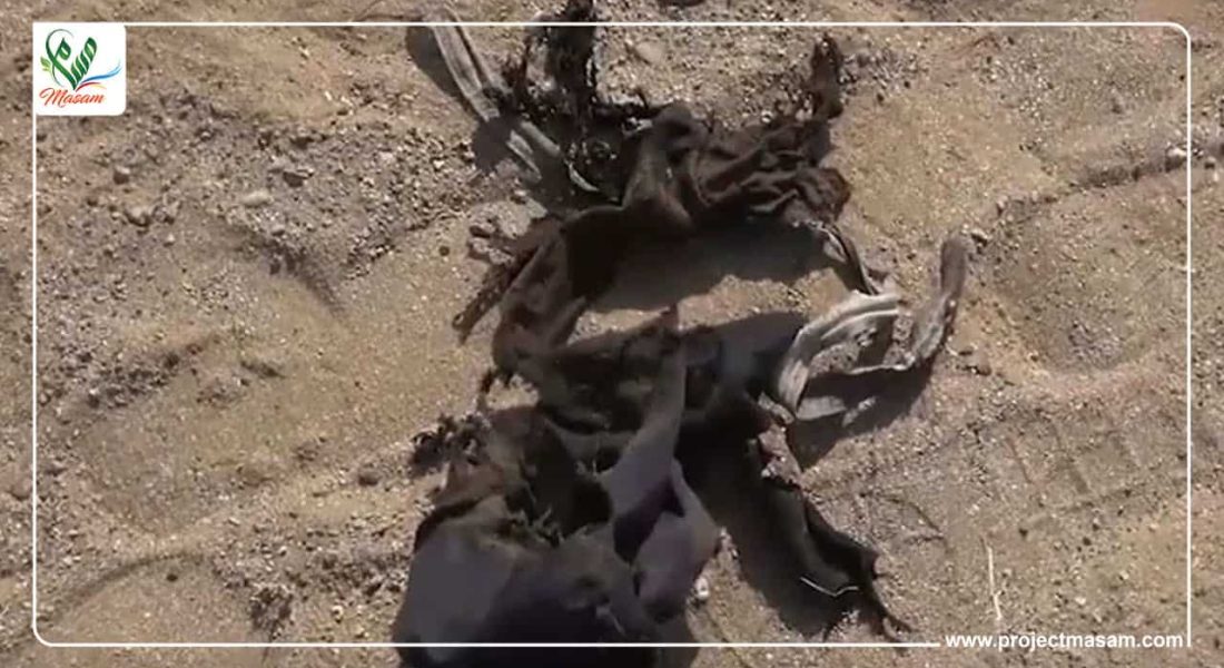 مقتل طفل بانفجار لغم حوثي في محافظة البيضاء