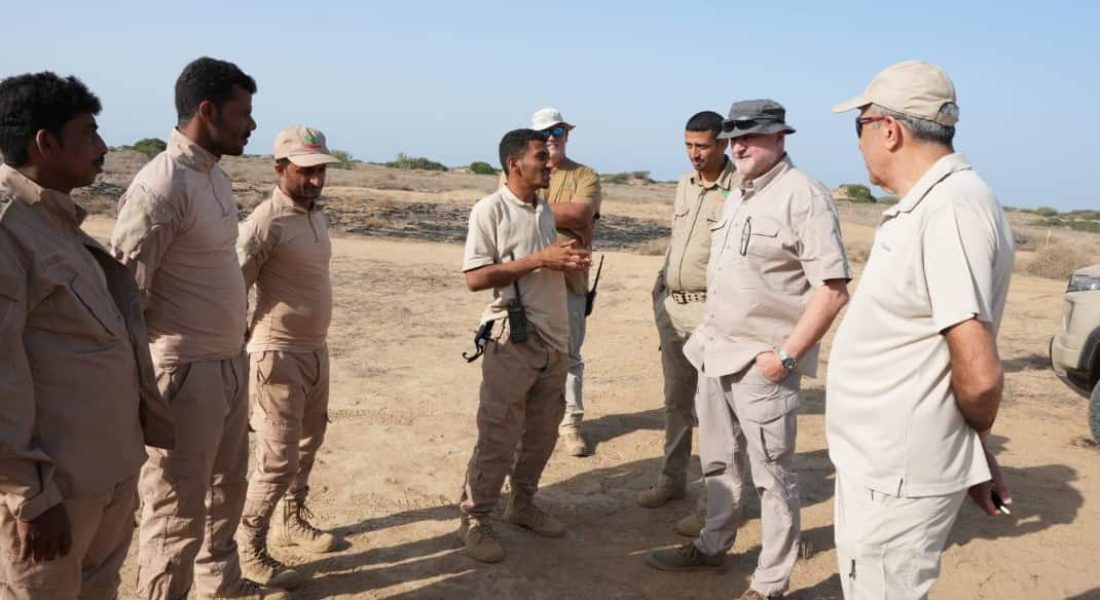 ميدي